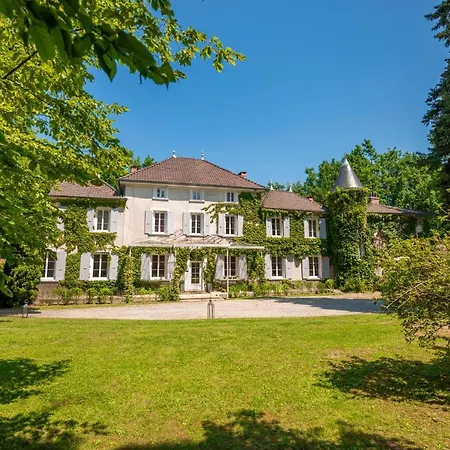 Chateau Des Ayes - & * Saint-Étienne-de-Saint-Geoirs