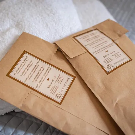 Guest house Chateau Des Ayes - &