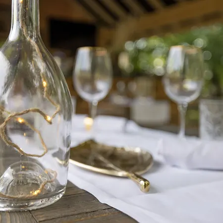 Chateau Des Ayes - & 3* Saint-Etienne-de-Saint-Geoirs